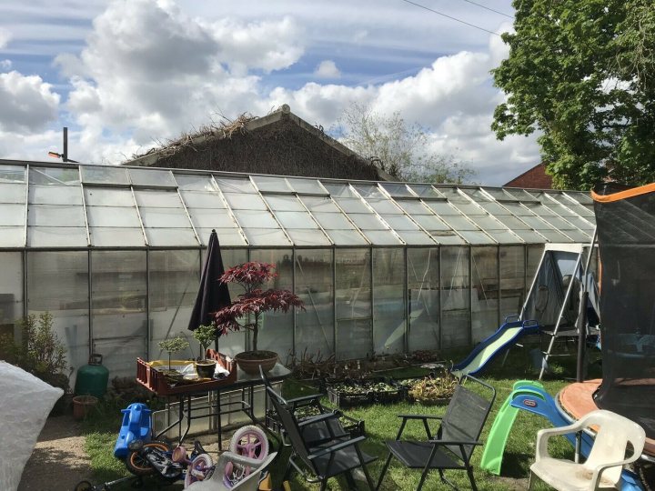 The Greenhouse Thread - Page 7 - Homes, Gardens and DIY - PistonHeads