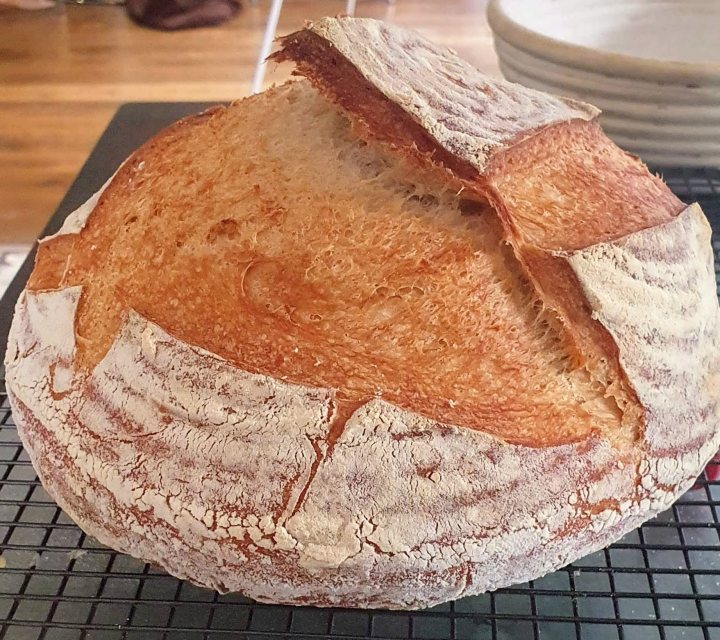Sourdough breadmaking - Page 30 - Food, Drink & Restaurants - PistonHeads
