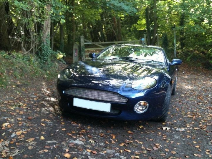 Pistonheads - The image depicts a dark blue sports car parked on a gravel path in the woods. The car's headlight and a portion of its silver license plate are visible, suggesting a quiet, perhaps rural, setting. The surrounding area is densely wooded, with trees filling the background. There are leaves scattered along the path, indicating it has been used recently. The style of the car implies that it is designed for performance, with features such as a distinctive grille, sculpted hood, and low ground clearance.