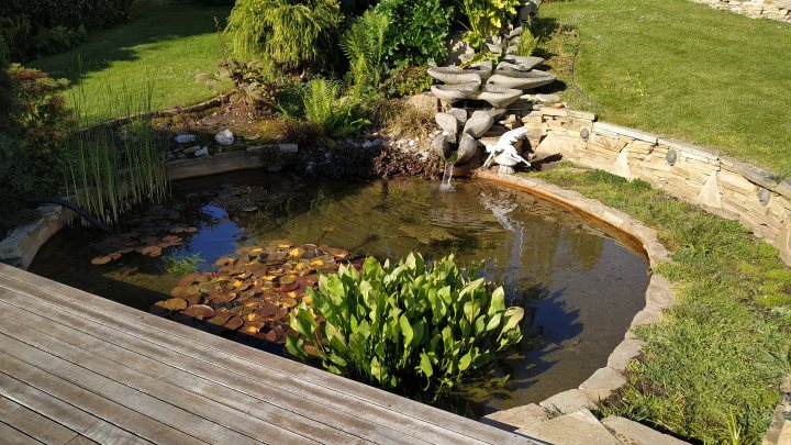 Show your Ponds - Page 4 - Homes, Gardens and DIY - PistonHeads