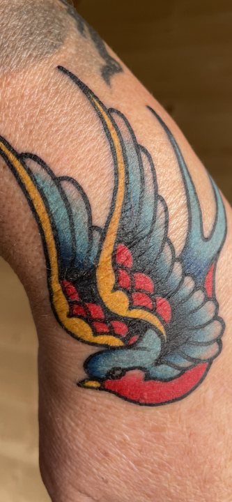 Do you have a tattoo? - Page 308 - The Lounge - PistonHeads UK