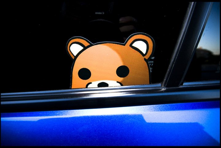 A close up of a stuffed animal on a car - Pistonheads