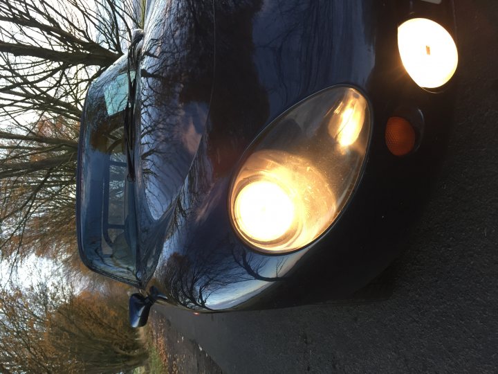 Headlight conversion to double light ? - Page 1 - Griffith - PistonHeads
