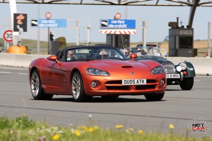 Vipers are not hibernating....... - Page 1 - Vipers - PistonHeads