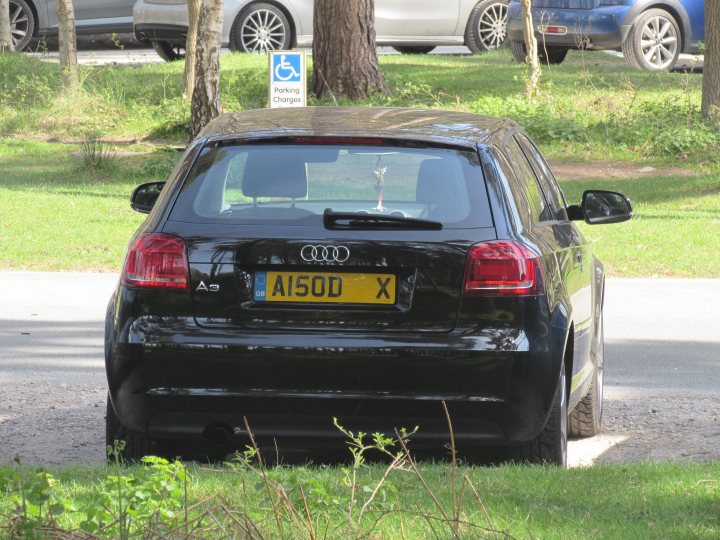 What C124PPY personalised plates have you seen recently? - Page 208 - General Gassing - PistonHeads - In the image, a black Audi Trent is parked on the side of a road in a wooded area. The car's tail light is visible, and there is a license plate attached to the back. A handicapped parking sign is near the vehicle, suggesting that this spot is designated for people with disabilities. The scene is serene with trees and a clear sky visible in the background.