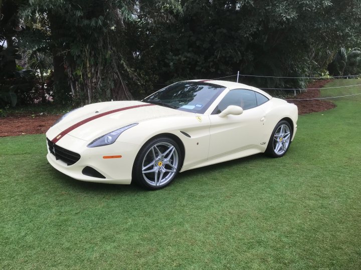 Any colour but red picture thread - Page 9 - Ferrari V8 - PistonHeads UK - The image shows a custom-made car with a vibrant color scheme, parked on grass. The car appears to be a sports model, possibly an Audi R8, based on its design and the presence of what seems to be an aftermarket wide-body kit. It's painted in a combination of cream and white, giving it a distinctive look. The wheels are large with a multi-spoke design, complementing the car's sporty aesthetic.

The background features a tropical setting with palm trees, suggesting that this might be a private or resort location. There is no text visible on the image. The overall impression is one of luxury and personalization, as evidenced by the car's unique modifications and high-end design elements.