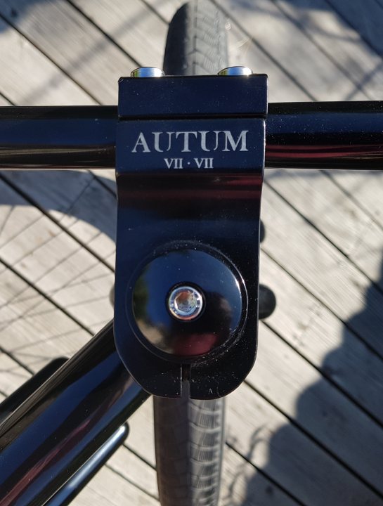 Autum Minion - Beach Cruiser - Page 1 - Pedal Powered - PistonHeads