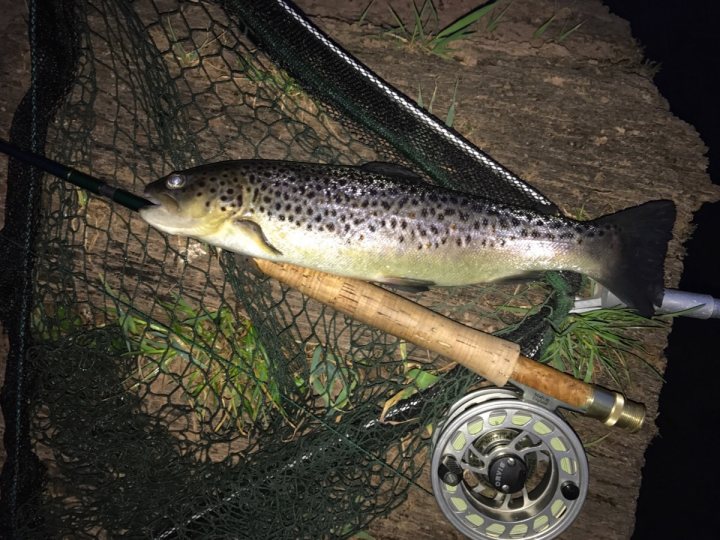 The Fly Fishing Thread - Page 2 - Sports - PistonHeads