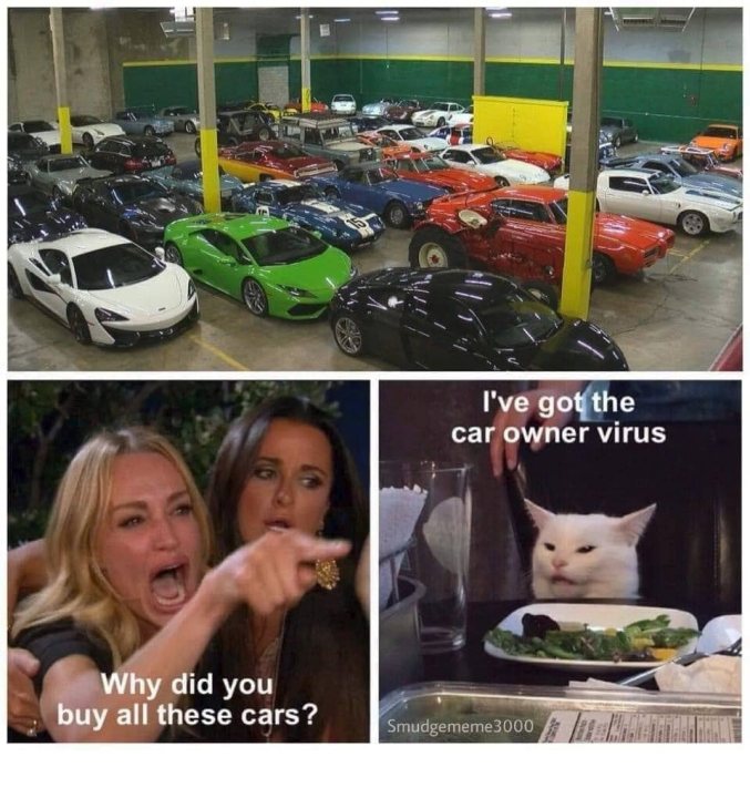A collage of photos of a cat and a dog - Pistonheads
