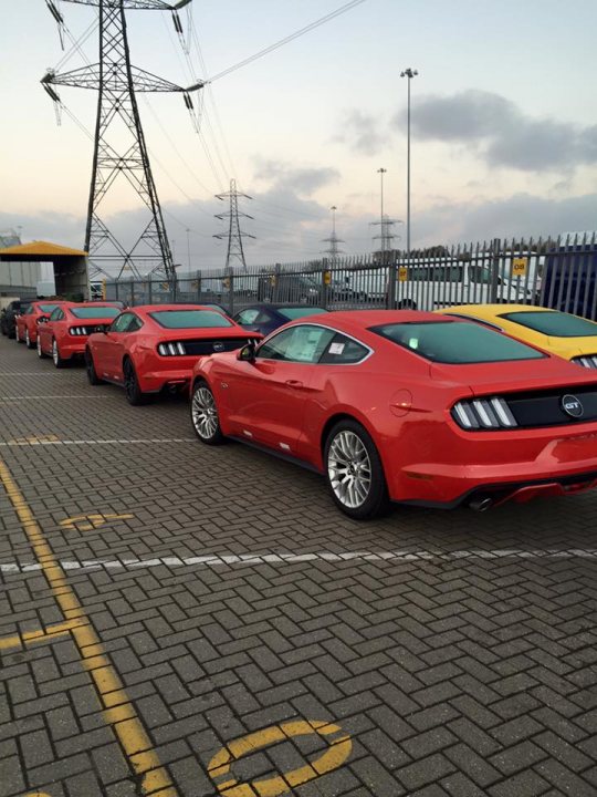 So who has ordered the new S550 Mustang? - Page 94 - Mustangs - PistonHeads