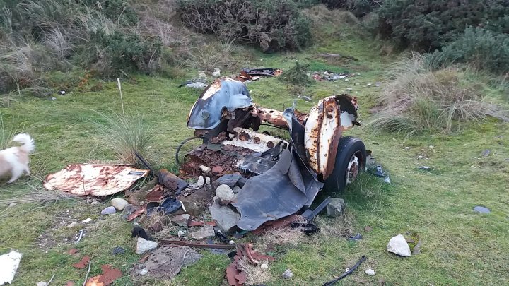 Classics left to die/rotting pics - Vol 2 - Page 74 - Classic Cars and Yesterday's Heroes - PistonHeads - This image captures a scene of a wrecked vehicle sitting amidst a field that appears unkempt. The remains of the vehicle, including its engine, are scattered around it, indicating the severity of the crash. The car appears to be rusted, suggesting it has been there for some time. Amidst the wreckage, there's a white dog standing towards the left of the image, adding a contrasting element to the otherwise deteriorating scene. Beyond this, the background reveals more of the overgrown and disorganized field.