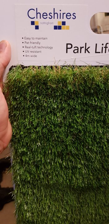 Artificial grass - experiences? - Page 9 - Homes, Gardens and DIY - PistonHeads