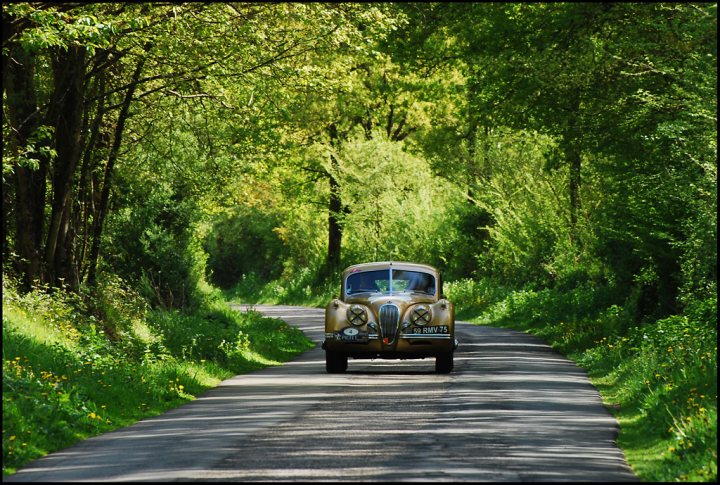 The Tour Auto came to town - Page 1 - Classic Cars and Yesterday's Heroes - PistonHeads - The image shows a vintage car driving down a tree-lined country road. The car appears to be an older model, possibly a tractor pulling a trailer, as indicated by its avian silhouette on the door. The road is surrounded by lush greenery and appears to be on the outskirts of a forest. The sunlight provides a warmth to the scene, creating a pleasant and serene atmosphere.