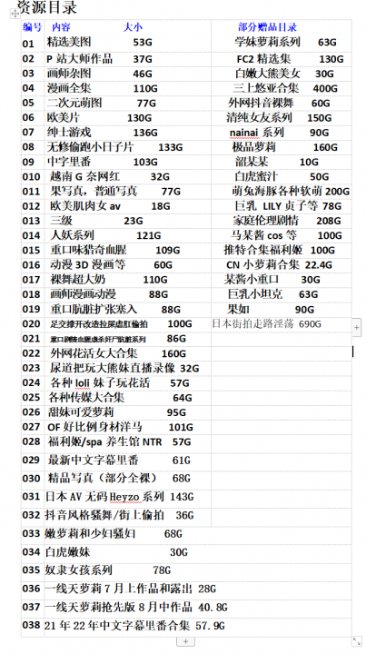 The image displays a spreadsheet with rows of text, which appears to be in Chinese. Each row contains different numbers and words that are likely to represent a list of items or some sort of inventory. The columns include what looks like item names or codes on the left, quantities in the middle, and possibly prices or other numerical data on the right side of the image. There is a clear delineation between the rows, with the topmost row being slightly shorter than the others. The spreadsheet has a simple, utilitarian design and seems to be used for record-keeping or accounting purposes.