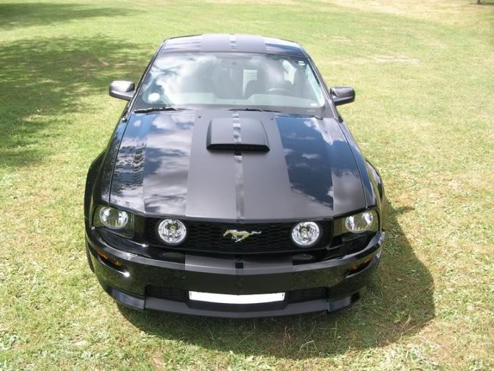 Cool cars with stripes - Page 1 - General Gassing - PistonHeads - The image depicts a black Mustang parked in a grassy area on a sunny day. The car is positioned at an angle to the camera, highlighting its sleek design and the white license plate slightly visible on the front. The overall scene is peaceful, with the sunlight casting shadows on the grass, indicating that the photo was taken during daytime. There are no texts or other objects in the image, which emphasizes the car as the main subject.