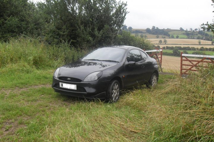 My new Puma ! - Page 1 - Readers' Cars - PistonHeads - The image displays a dark-colored car located in a grassy field, adjacent to a rail fence. The vehicle appears to be stationary, with the passenger side slightly facing the camera, as if the car might be backed into the parking position. The field is vast with a mix of green grass and what might be a crop, suggesting a rural or country setting. In the background, the landscape can be seen leading up to a series of hills or valleys under an overcast sky.