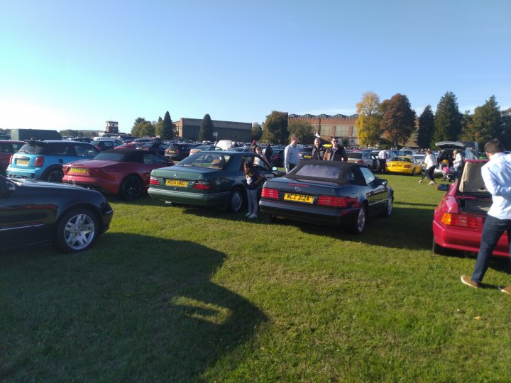A group of trucks parked in a parking lot - Pistonheads