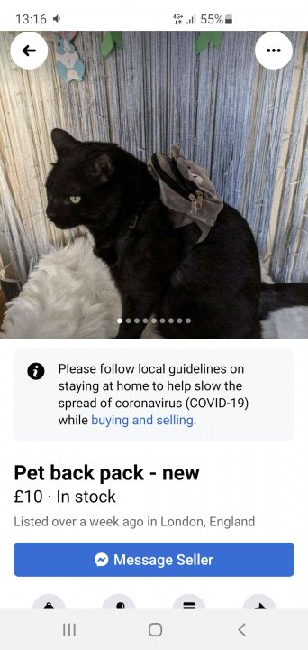 It's Caturday- Post some cats (vol 3) - Page 313 - All Creatures Great & Small - PistonHeads UK - The image is a screenshot of a social media post featuring a black cat. The cat appears to be in the middle of an act, with its hind legs raised and one paw extended as if it's scratching or playing. There's a text overlay on the image that reads "Please follow local guidelines on staying home to help slow down the spread of coronavirus." Below this message is a button labeled "Shop now" accompanied by an image of a small black backpack with a white handle. The bottom of the screenshot shows a shopping cart icon, indicating that the user can add items to their cart from within the app. The overall style of the image suggests it's taken from a smartphone, given the layout and design elements typical of mobile app interfaces.