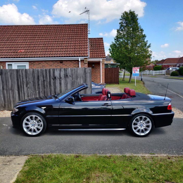 E46 330 Convertible - any good ones about?  - Page 5 - BMW General - PistonHeads