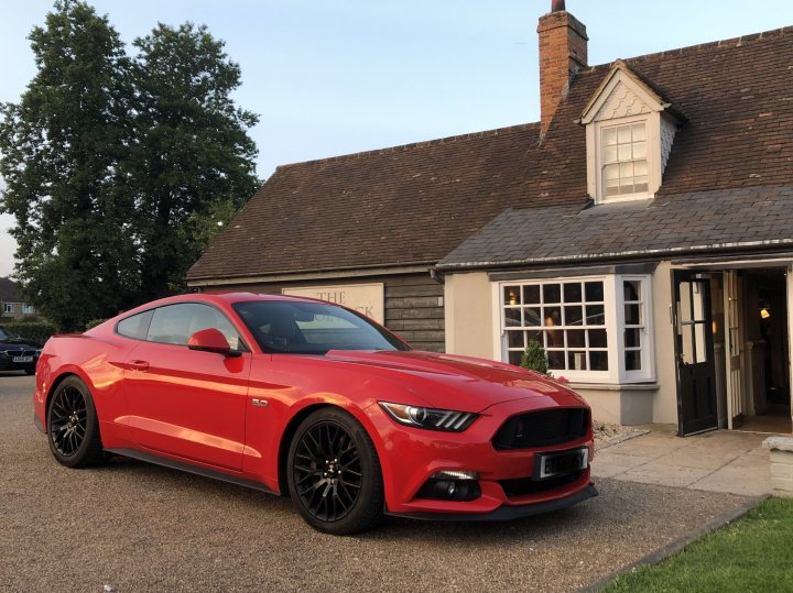 New Mustang GT owner checking in! And a question about IRS.. - Page 1 - Mustangs - PistonHeads
