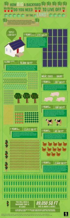 How much land constitutes an estate, smallholdong, etc.? - Page 1 - Homes, Gardens and DIY - PistonHeads - The image shows a vibrant and detailed infographic that appears to be designed to educate about sustainable farming practices. It features various elements such as fields, crop plants, animals like chickens and cows, and solar panels. There's a prominent section labeled "New life on farm," suggesting a focus on renewable energy in agriculture. The infographic also includes icons representing different types of crops being grown, which could be indicative of the farm's biodiversity. The text within the infographic is too small to read clearly, but it appears to provide additional information about the practices depicted. The overall style of the image suggests an educational or informational purpose, possibly for a report or a presentation.