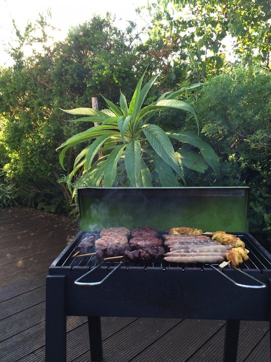 The official 2015 warm sunshine and BBQ thread... - Page 29 - The Lounge - PistonHeads - The image is a photo showing an outdoor cooking preparation, with items on a grill pot. The grill is on a wooden deck, and there's a small table or cart outside, possibly holding additional cooking ingredients or tools. The lighting suggests it's either late afternoon or early evening with some dimness. Surrounding the deck area, there are green leaves of bushes or trees.