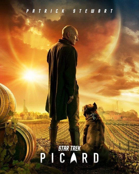 Patrick Stewart to return as Picard - Page 2 - TV, Film & Radio - PistonHeads - The image is a movie poster for "Star Trek: Picard". It features a man in the foreground standing next to a dog, with a backdrop of a vineyard under a clear sky. In the top left corner, there's a text that reads "PATRICK STEWART", indicating the actor's involvement with the movie. The title of the movie, "Star Trek: Picard" and its logo are prominently displayed at the bottom.