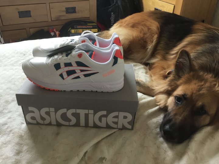 Anyone into trainers/sneakers? (Vol. 2) - Page 2 - The Lounge - PistonHeads