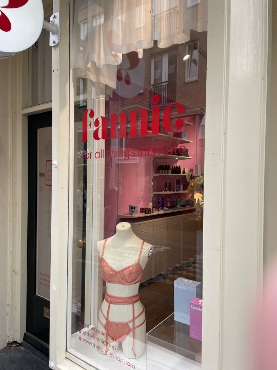 Juvenile things that make you snigger (Vol. 3) - Page 584 - The Lounge - PistonHeads UK - The image shows an interior view of a store window displaying lingerie. A mannequin, dressed in lingerie, is prominently featured within the window. To the left of the mannequin, there's a sign that reads "FANNY," indicating the name of the business or brand. The lingerie on the mannequin is pink and black, with straps visible, suggesting it could be a sports bra style garment. The store has an elegant feel with its window display and signage, and it appears to be located in a city setting, as suggested by the street view that forms the background of the image.