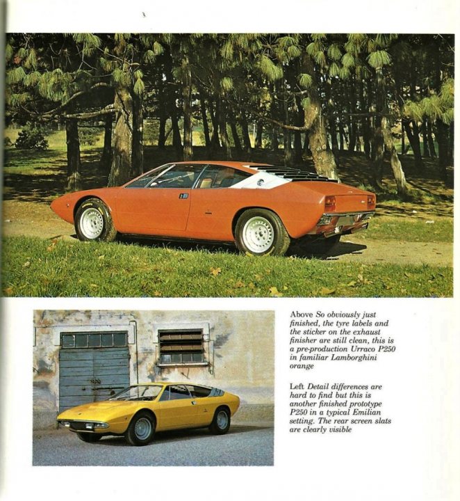 Lamborghinis used as Covid-19 shopping trolleys - Page 12 - Lamborghini Classics - PistonHeads