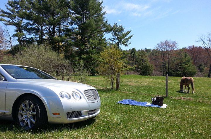 A car parked on the side of a road next to a dog - Pistonheads - The image showcases a serene outdoor setting. A sleek silver Rolls-Royce luxury car is parked on a grassy area, leaning gently against the back of a nearby container, presumably for horse feed. The car's metallic sheen contrasts with the lush greenery around it.

Near the car, a blue blanket is spread out on the grass, with a small black laptop resting on it. The laptop is open, suggesting recent use. In the background, a solitary brown horse grazes peacefully on the grass, adding a touch of rural tranquility to the scene.

The image captures a moment of quiet indulgence, perhaps during a break from a long road trip, where the owner of the car has chosen to unwind in the company of nature and their equine companion.