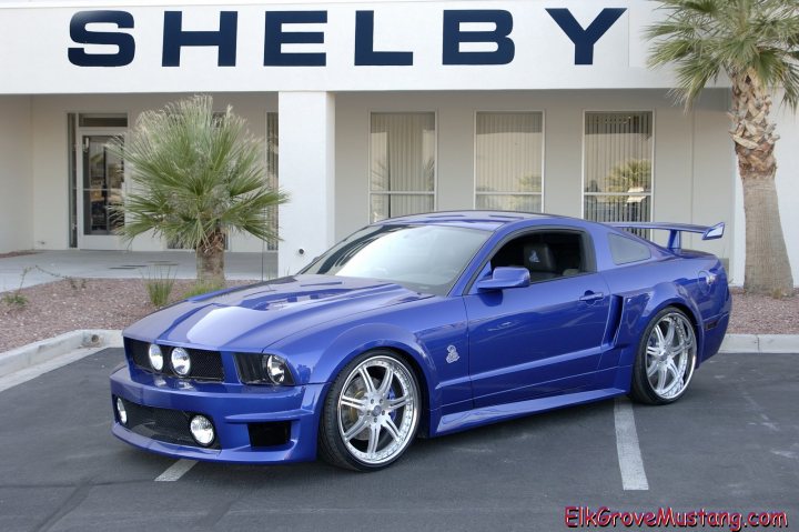 Ride Shelby Pistonheads - The image features a vibrant blue Ford Mustang parked in a parking lot. It has a glossy finish and a sleek design, with a prominent front grille and side vents. The car is positioned in front of a building, which has a Shelby logo on its facade, suggesting that it might be a dealership or a showroom for the Shelby brand of Ford Mustangs. The logo is large, black, and contrasts sharply against the white backdrop of the building. The setting suggests a well-maintained, professional environment, likely dedicated to selling or showcasing high-end cars, with the Mustang being the centerpiece of this environment.