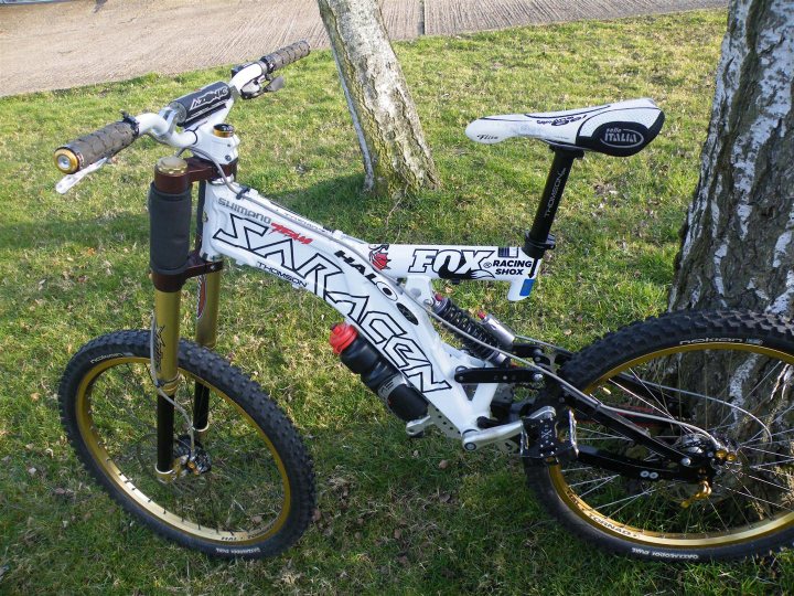 The "Show off your bike" thread! - Page 500 - Pedal Powered - PistonHeads - The image depicts a mountain bike leaning on a tree, with its frame prominently displaying the Fox branding among others. The bicycle is predominantly white, contrasting with a gold seatpost and black tires. There's white and yellow detailing on the chainstays, adding to the bike's aesthetics. The bike is positioned in a grassy area, suggesting a park or a trailside rest. The tree, with its brown trunk and white patches in the bark, provides a natural backdrop to the bike.