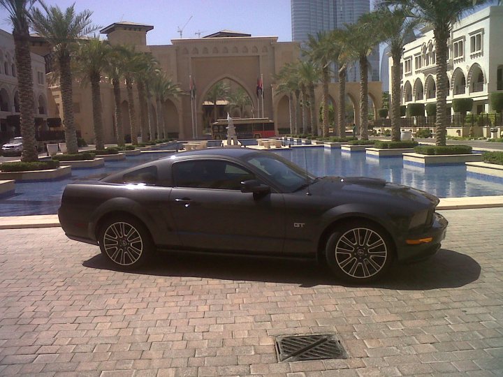 Drives Middle Readers East Pistonheads - The image features a black Mustang convertible parked on a brick pavement. The car is the main focus, with its shiny exterior reflecting the surroundings and the shadows indicating it's a bright day. In the background, there's an architectural structure with a large circular fountain at its center, suggesting an upscale setting, possibly a courtyard or square. Tall palm trees give a warm, Mediterranean ambiance to the scene.