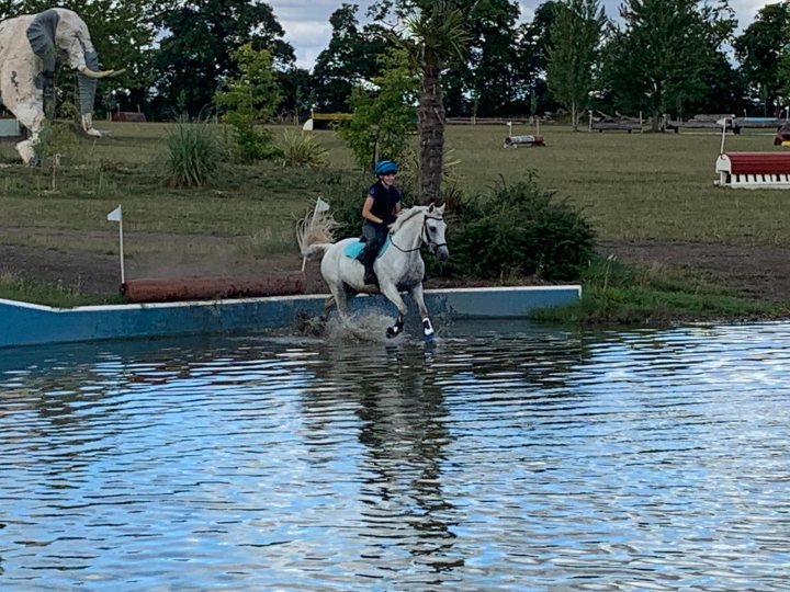 A man is riding a horse in the water - Pistonheads