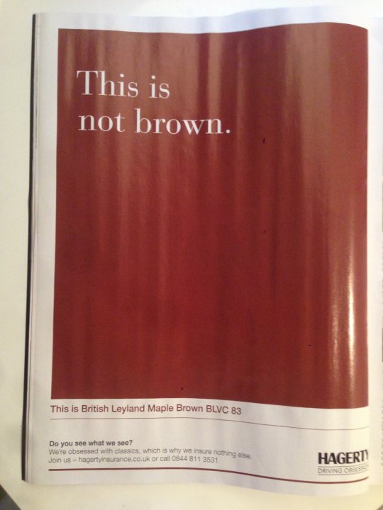 Brown back in vogue??? - Page 4 - General Gassing - PistonHeads - The image shows an open magazine or brochure with the title "This is not brown" prominently displayed in the center of the page. The text is white and has a witty or playful tone. Below the title, there is additional text that says "British Leyland Maple Brown BXC 83" indicating the specific model of the car. At the bottom of the page, there's a contact number listed "Call us: Hagerty Insurance on 084 31 3631" suggesting the publication or model of the car may be from Hagerty. The overall color scheme of the image is a blend of white and dark red, creating a bold and attention-grabbing visual effect.