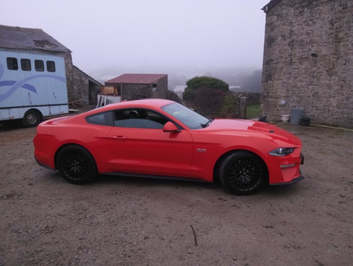 Show us your Mustangs! - Page 6 - Mustangs - PistonHeads