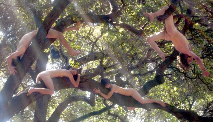 Mypetjawa - The image captures a unique moment in a sunlit forest where a group of naked people are hanging upside down from various branches of a large tree. The tree, with its verdant green leaves, is a prominent feature in the center of the image. The people's bodies stretch out against the bright sky, their faces turned upwards as they grasp the branches with their hands. In the blurred background, subtle details of the forest can be discerned, enhancing the sense of being in a natural, wooded area. The overall atmosphere is one of freedom, individuality, and a harmonious connection with nature.