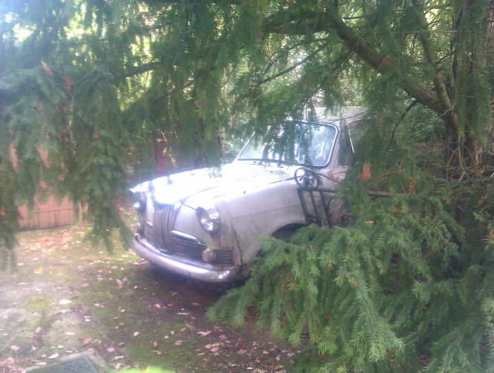 Classics left to die/rotting pics - Page 193 - Classic Cars and Yesterday's Heroes - PistonHeads - The image features a vintage car parked in a grassy area beneath a tree. The car appears to be an older model with silver coloring, and it seems to be in poor condition, with visible rust and a hint of discoloration. The surroundings suggest a natural setting, with fallen leaves scattered on the ground and ferns or other undergrowth nearby. The photo is taken from a perspective of looking into the car from a low angle, obscuring some of the details. The tree's branches partially cover the car, adding a sense of serenity to the scene. The overall atmosphere is quiet and somewhat evocative of a bygone era.