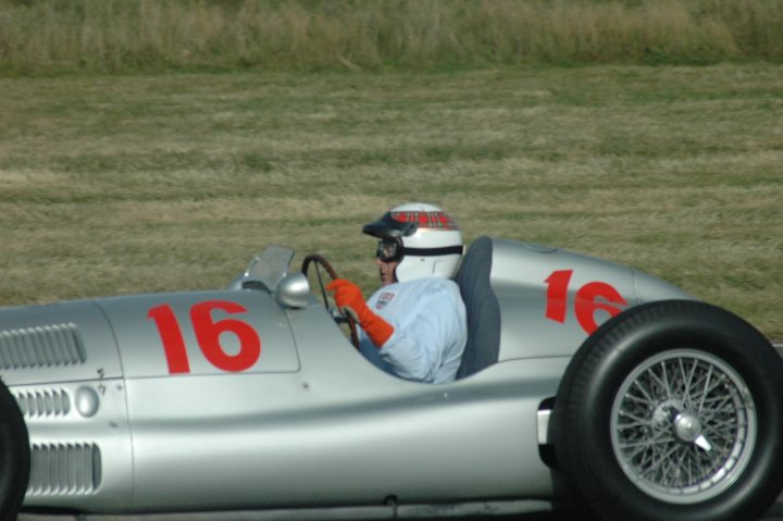 A red and white dog is sitting in the grass - Pistonheads