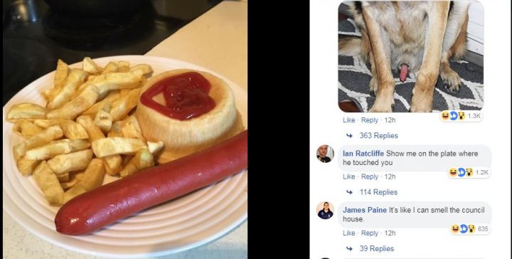 Facebook fails Vol. 2 - Page 114 - The Lounge - PistonHeads - The image shows a split screen of two posts. On the left, there's a photo of a meal consisting of a hot dog and French fries, both of which are generously topped with ketchup. On the right side, there's a meme-style post with a similar theme, featuring a plate of food including a hot dog, French fries, and a cartoon image of a dog standing next to the food. The post also includes humorous text comments.