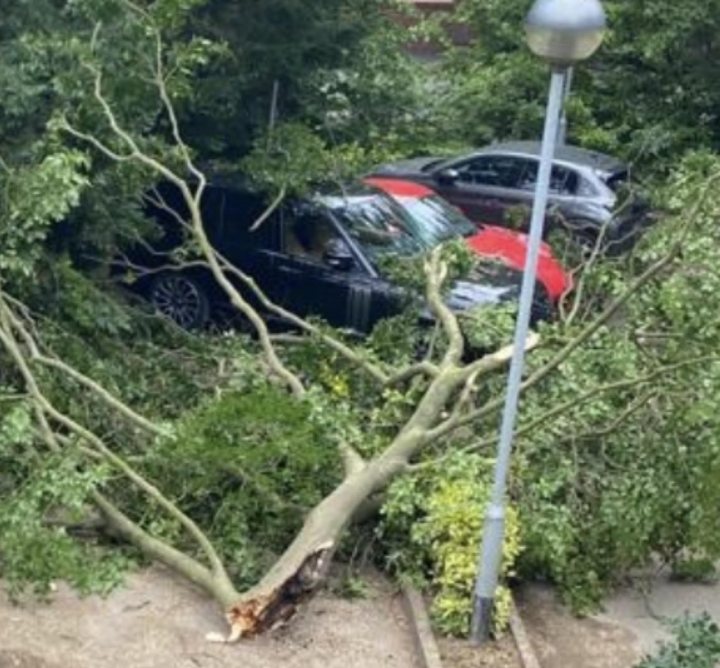 Tree has Fallen on my Porsche while visiting family's apt - Page 2 - General Gassing - PistonHeads UK