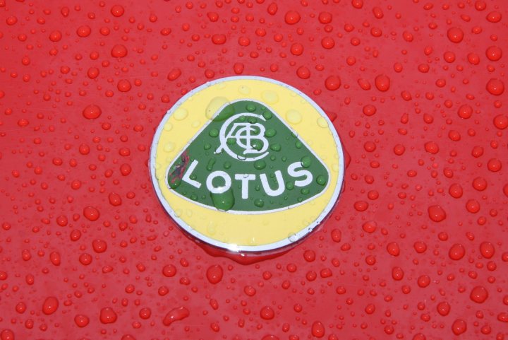 A red stop sign sitting on the side of a road - Pistonheads - The image shows a yellow, green, and red sticker with the text "LOTUS" on it. The sticker appears to be made of plastic or a similar material, given its water resistance. It is placed on a red surface that has water droplets on its surface. The surface could be glass, plastic, or metal, but it is not possible to determine the exact material from the image alone. The disordered array of droplets suggests recent rainfall or washing of the surface. The sticker stands out against the dominant red and droplet patterns of the background.