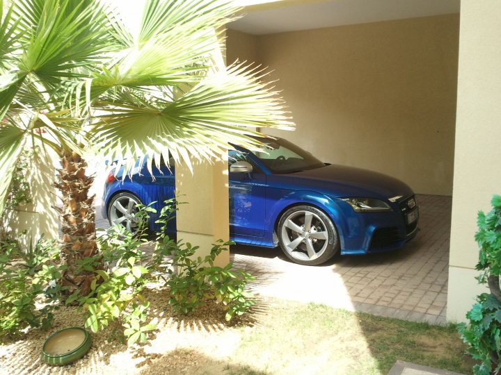 ECU Tuning - TTRS - Page 1 - Middle East - PistonHeads - The image portrays a vibrant scene with two blue Audi cars parked near each other. These cars are positioned under a palm tree, which casts a cool shade over the vehicles. The cars display sleek, modern designs, with their alloy wheels glinting in the sunlight. They are parked on what appears to be a brick pavement, suggesting an urban setting. The background is dominated by a tall white wall, which provides a stark contrast to the green and blue hues of the palm tree and the cars.