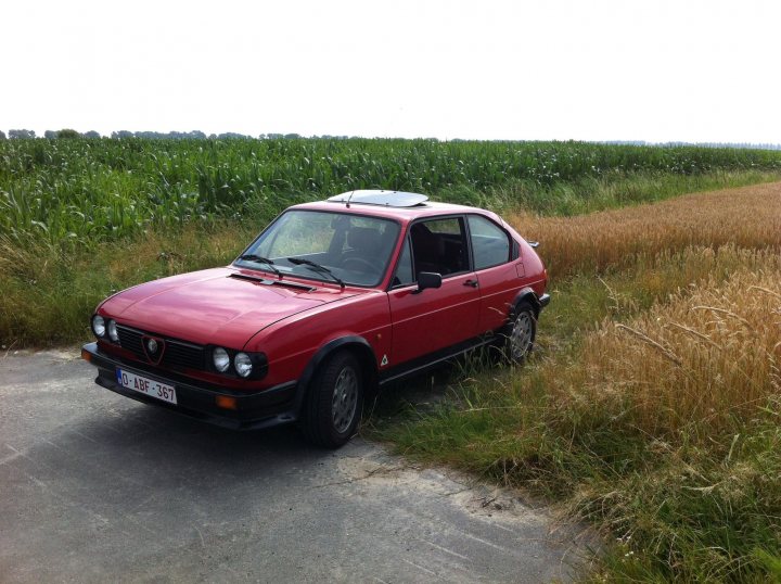 RE: Alfa Romeo Alfasud | Spotted - Page 10 - General Gassing - PistonHeads UK