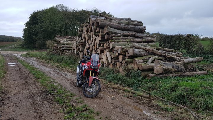 Who has purchased a new Africa Twin? - Page 38 - Biker Banter - PistonHeads