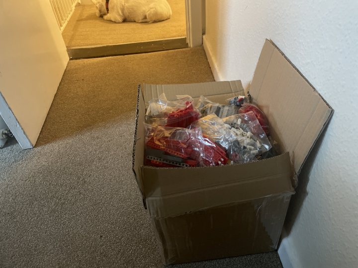 The LEPIN "LEGO" for non sensitive types - Page 113 - Scale Models - PistonHeads UK - The image shows an indoor scene with a dog sitting on the floor in front of a door. Next to the door, there is a cardboard box filled with various items, including what appears to be red bags and some other small items. There's also a small white cat sitting near the boxes. To the right, there's a wooden floor, and in the background, there's a person standing near the door.