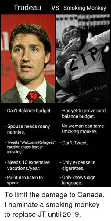 23rd Prime Minister of Canada, Justin Trudeau - Page 3 - News, Politics & Economics - PistonHeads
