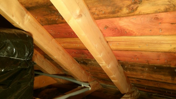 Mold in the attic...  - Page 1 - Homes, Gardens and DIY - PistonHeads