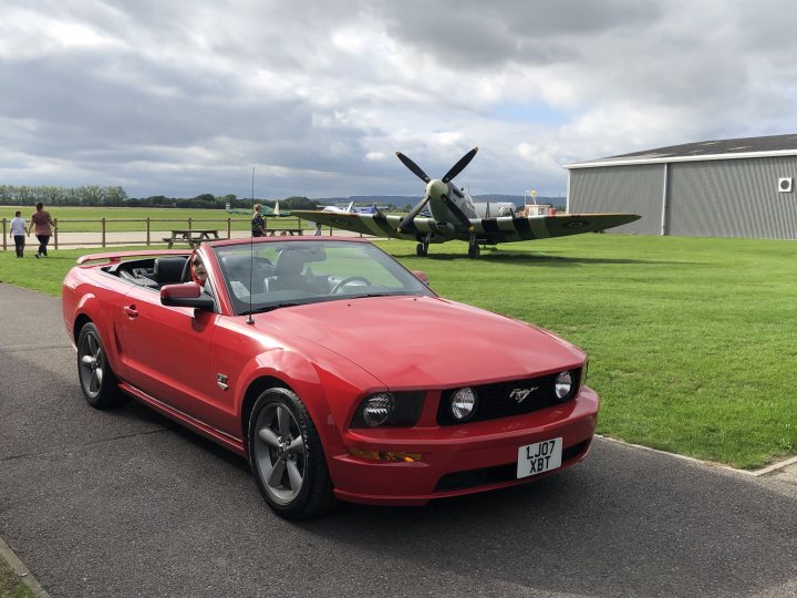 Show us your Mustangs! - Page 10 - Mustangs - PistonHeads UK